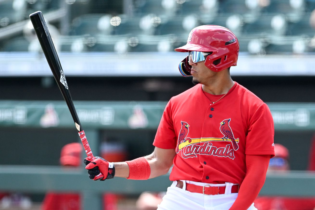 Spring Breakout - Houston Astros v St. Louis Cardinals