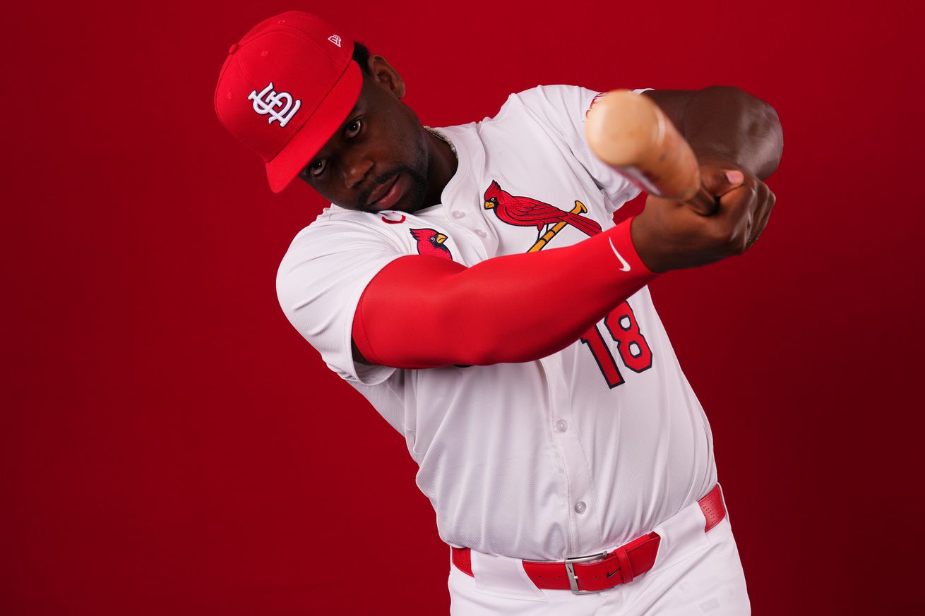 St. Louis Cardinals Photo Day